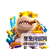 星空网官网企业专线组网拓扑示意图