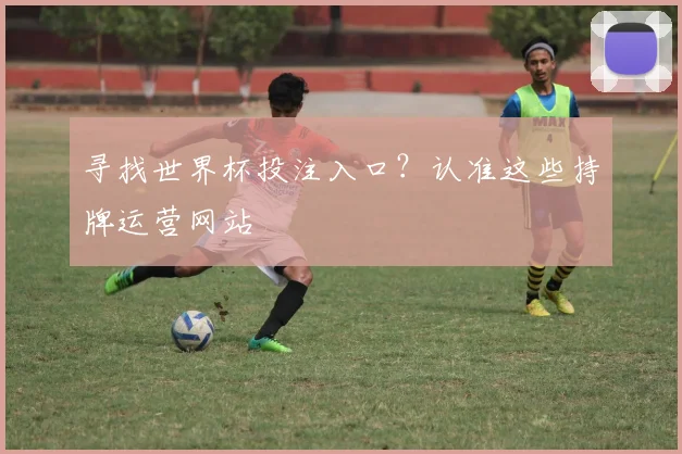 寻找世界杯投注入口？认准这些持牌运营网站