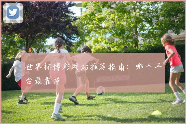 世界杯博彩网站推荐指南：哪个平台最靠谱