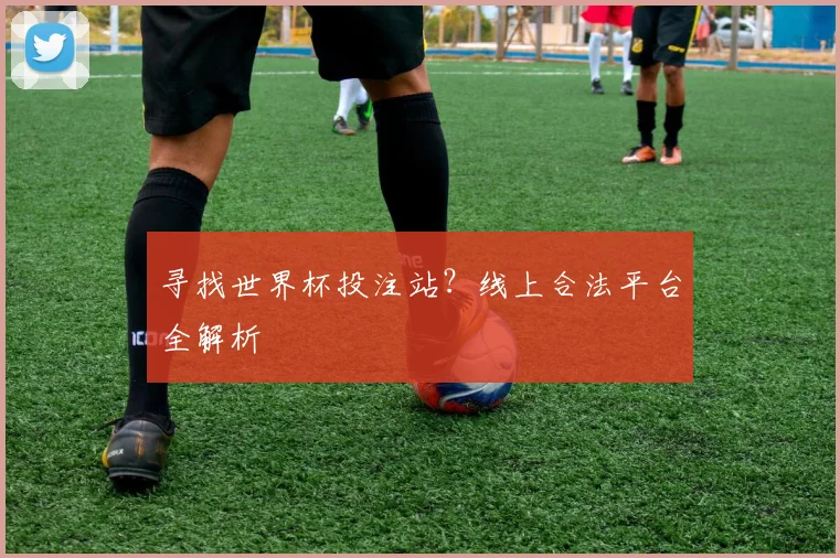 寻找世界杯投注站？线上合法平台全解析