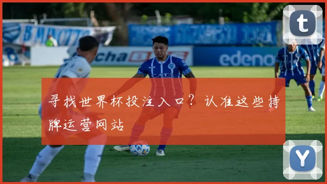 寻找世界杯投注入口？认准这些持牌运营网站