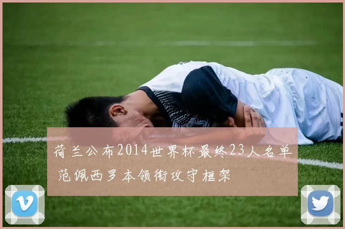 荷兰公布2014世界杯最终23人名单 范佩西罗本领衔攻守框架