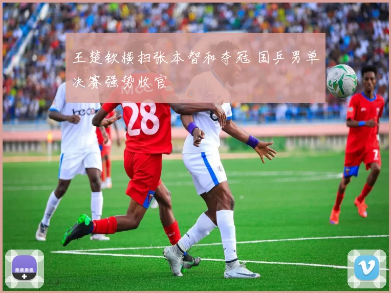 王楚钦横扫张本智和夺冠 国乒男单决赛强势收官