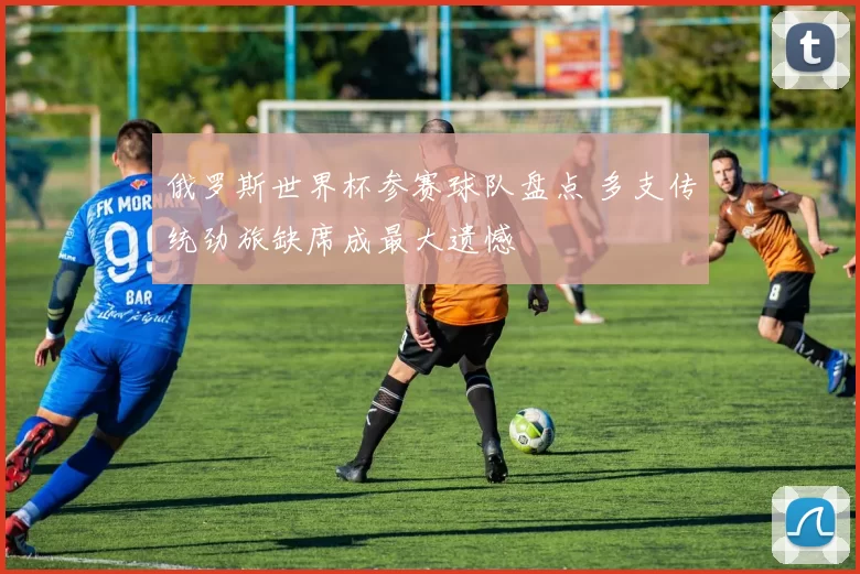 俄罗斯世界杯参赛球队盘点 多支传统劲旅缺席成最大遗憾