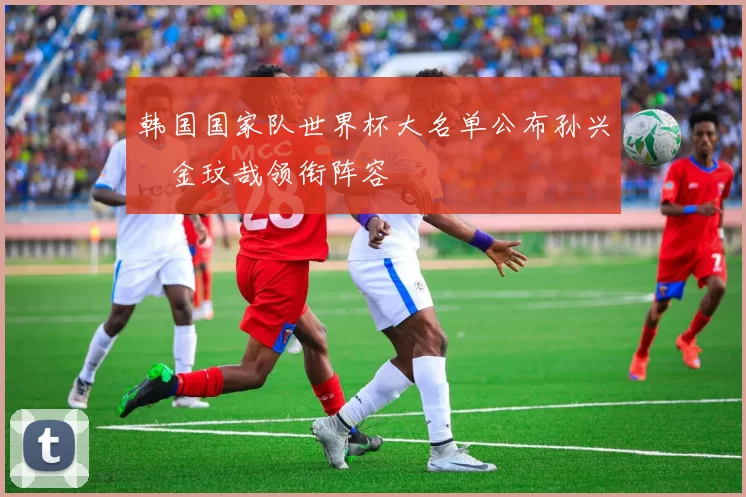 韩国国家队世界杯大名单公布孙兴慜金玟哉领衔阵容