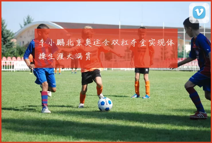 李小鹏北京奥运会双杠夺金实现体操生涯大满贯