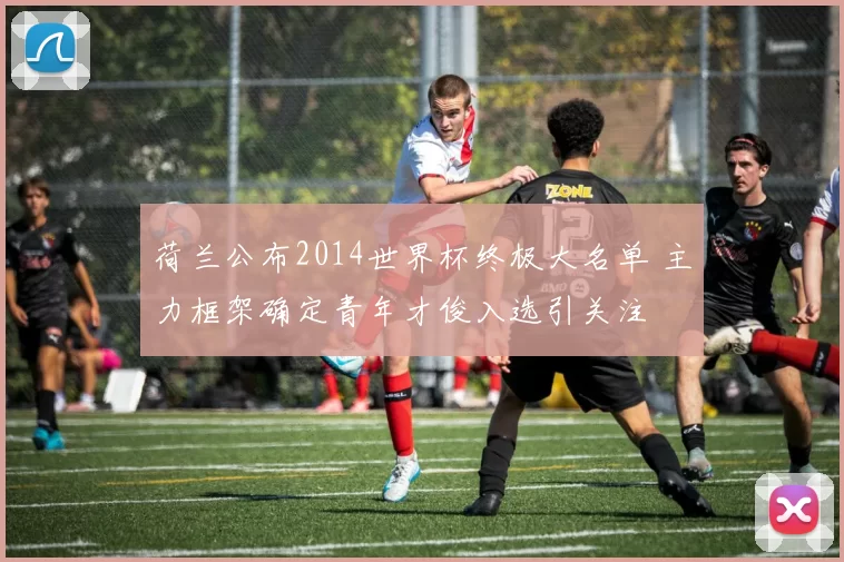 荷兰公布2014世界杯终极大名单 主力框架确定青年才俊入选引关注