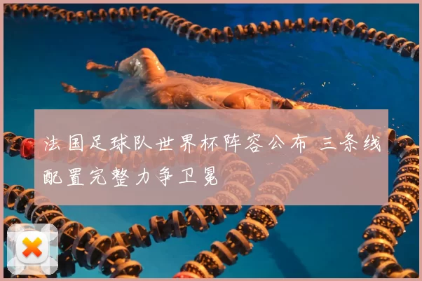 法国足球队世界杯阵容公布 三条线配置完整力争卫冕