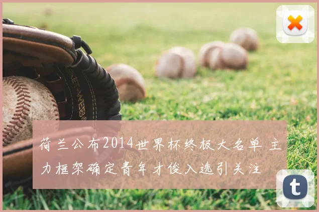 荷兰公布2014世界杯终极大名单 主力框架确定青年才俊入选引关注