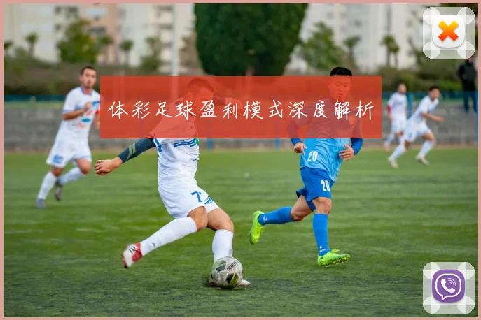 体彩足球盈利模式深度解析