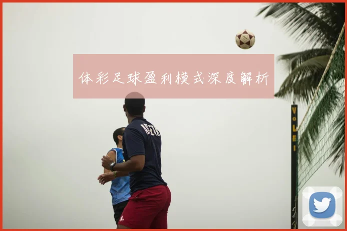 体彩足球盈利模式深度解析